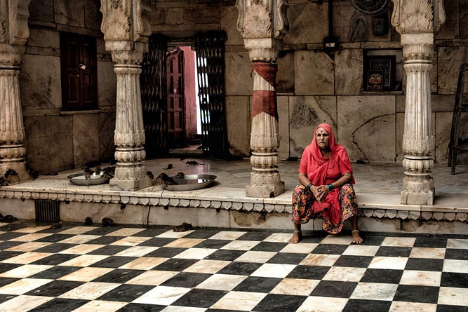 Woman and rats, Karni Mata (Temple of Rats), Bikaner district, Rajasthan