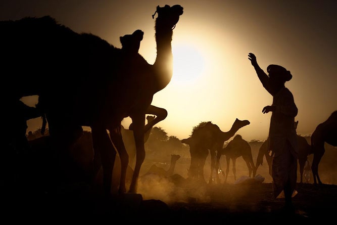 Pushkar Camel Fair, Pushkar, Rajasthan