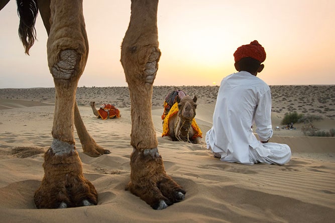 Cammello e uomo al tramonto, deserto del Thar (Dune di Sam), Jaisalmer, Rajasthan