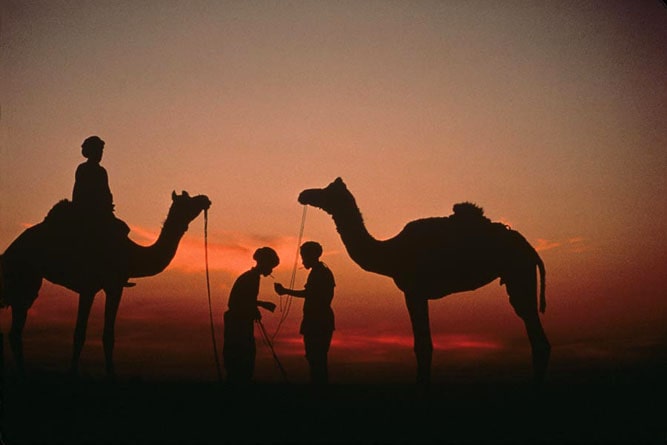 Sam Sand Dunes, Thar Desert, Jaisalmer, Rajasthan