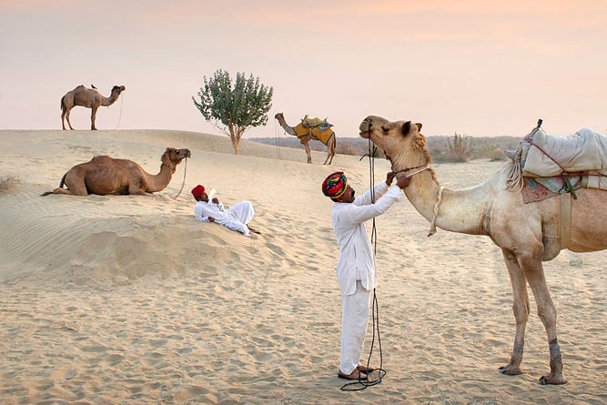 Thar Desert, Jaisalmer, Rajasthan, India