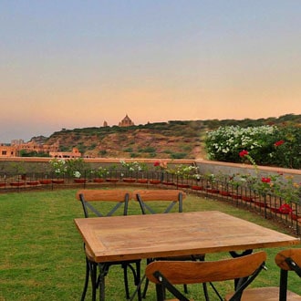 The Almond Tree, Rajasthan