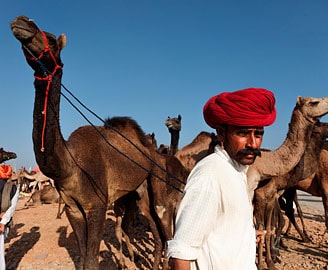 Speaking Hindi at the market