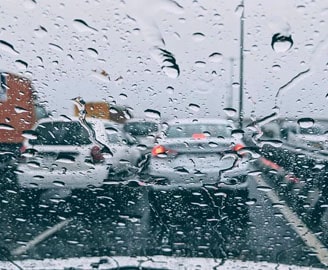 Monsoon in Rajasthan (July to September)