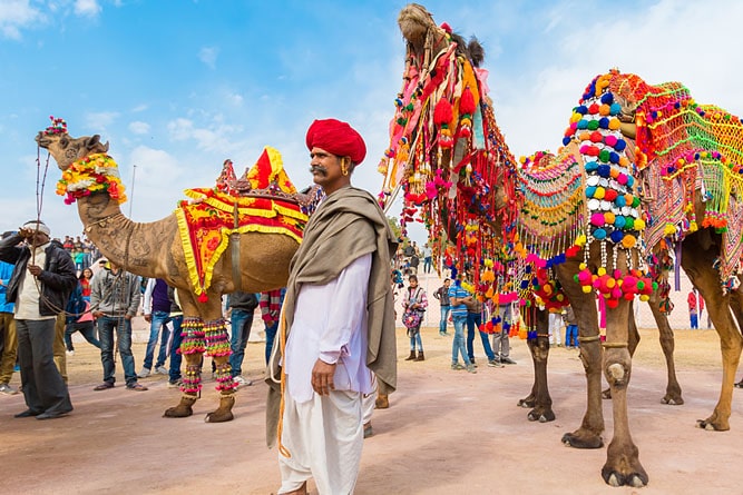 Festival del Cammello di Bikaner, Rajasthan